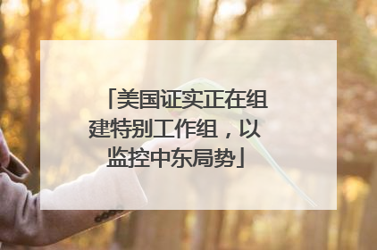 美国证实正在组建特别工作组，以监控中东局势