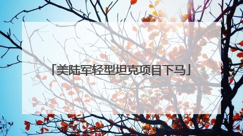 美陆军轻型坦克项目下马