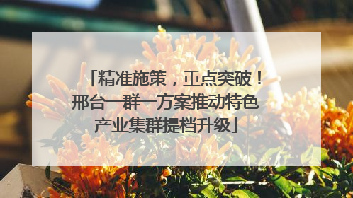 精准施策，重点突破！邢台一群一方案推动特色产业集群提档升级