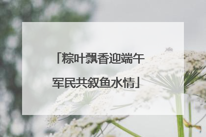 粽叶飘香迎端午 军民共叙鱼水情