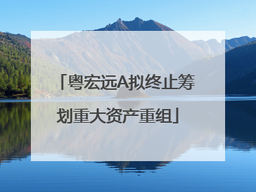 粤宏远A拟终止筹划重大资产重组