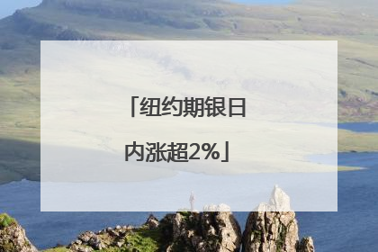 纽约期银日内涨超2%
