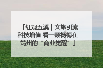 红观五溪｜文旅引流 科技增值 看一颗杨梅在靖州的“商业觉醒”