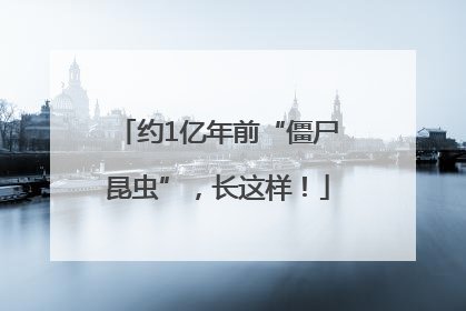 约1亿年前“僵尸昆虫”，长这样！