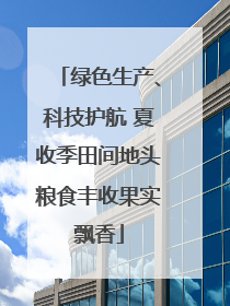 绿色生产、科技护航 夏收季田间地头粮食丰收果实飘香