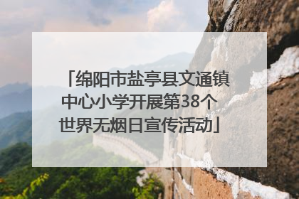 绵阳市盐亭县文通镇中心小学开展第38个世界无烟日宣传活动
