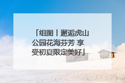 组图丨邂逅虎山公园花海芬芳 享受初夏限定美好