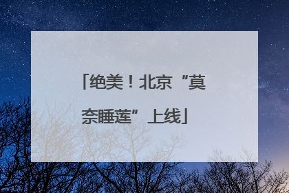 绝美！北京“莫奈睡莲”上线