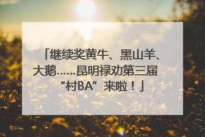 继续奖黄牛、黑山羊、大鹅……昆明禄劝第三届“村BA”来啦！
