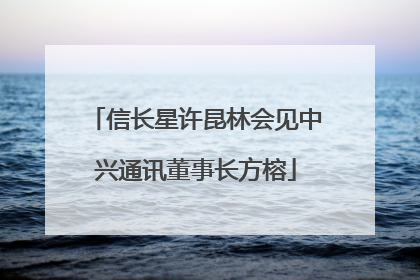 信长星许昆林会见中兴通讯董事长方榕