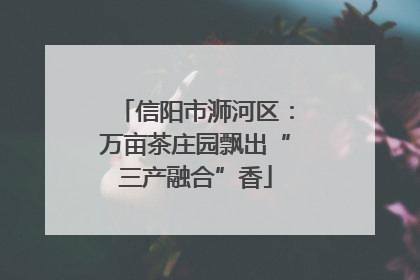 信阳市浉河区：万亩茶庄园飘出“三产融合”香