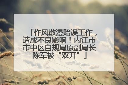 作风散漫贻误工作，造成不良影响！内江市市中区自规局原副局长陈军被“双开”