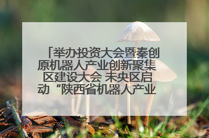 举办投资大会暨秦创原机器人产业创新聚集区建设大会 未央区启动“陕西省机器人产业聚集区”建设