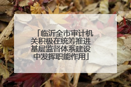 临沂全市审计机关积极在统筹推进基层监督体系建设中发挥职能作用