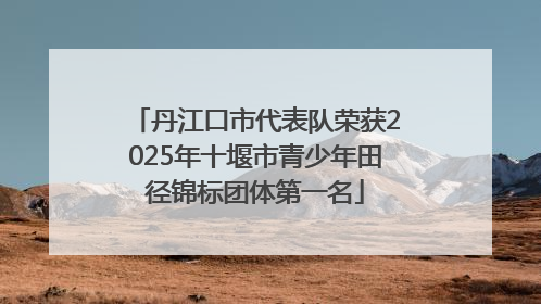丹江口市代表队荣获2025年十堰市青少年田径锦标团体第一名
