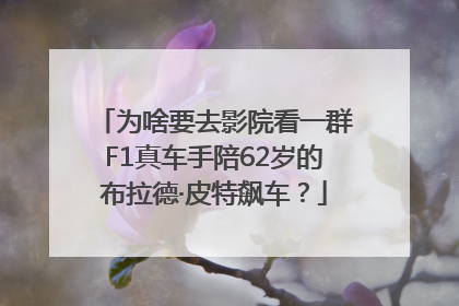 为啥要去影院看一群F1真车手陪62岁的布拉德·皮特飙车？