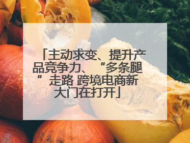 主动求变、提升产品竞争力、“多条腿”走路 跨境电商新大门在打开