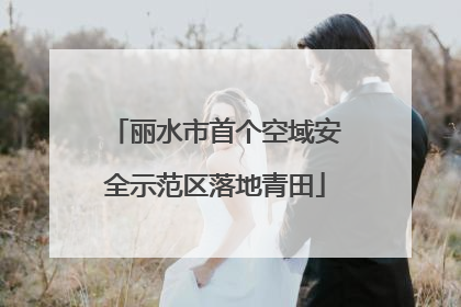 丽水市首个空域安全示范区落地青田