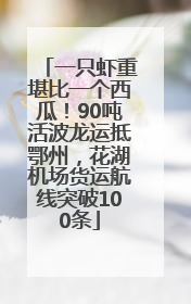 一只虾重堪比一个西瓜！90吨活波龙运抵鄂州，花湖机场货运航线突破100条