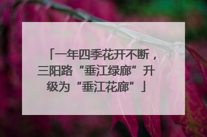 一年四季花开不断，三阳路“垂江绿廊”升级为“垂江花廊”