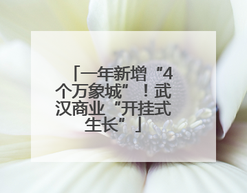 一年新增“4个万象城”！武汉商业“开挂式生长”