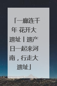 一廊连千年 花开大遗址丨遗产日一起来河南，行走大遗址