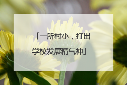 一所村小，打出学校发展精气神