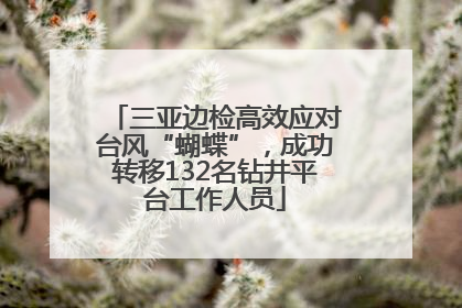 三亚边检高效应对台风“蝴蝶”，成功转移132名钻井平台工作人员