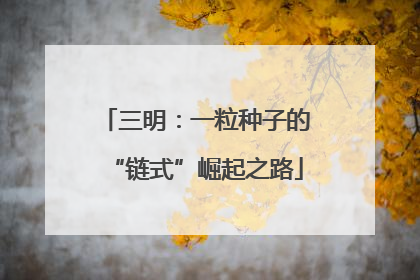 三明：一粒种子的“链式”崛起之路