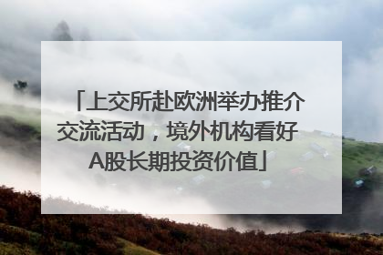 上交所赴欧洲举办推介交流活动，境外机构看好A股长期投资价值