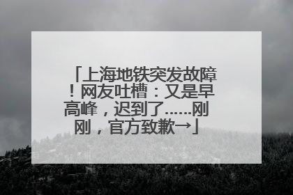 上海地铁突发故障！网友吐槽：又是早高峰，迟到了……刚刚，官方致歉→