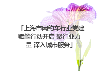 上海市网约车行业党建赋能行动开启 聚行业力量 深入城市服务