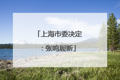 上海市委决定：张鸣履新