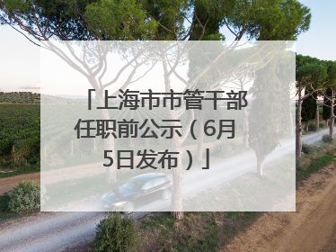 上海市市管干部任职前公示（6月5日发布）