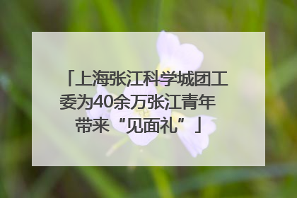 上海张江科学城团工委为40余万张江青年带来“见面礼”