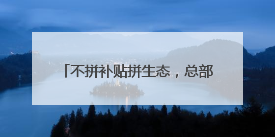 不拼补贴拼生态，总部项目纷至沓来 招商“反内卷”下的光谷之变
