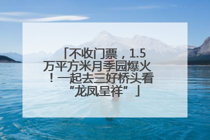 不收门票，1.5万平方米月季园爆火！一起去三好桥头看“龙凤呈祥”