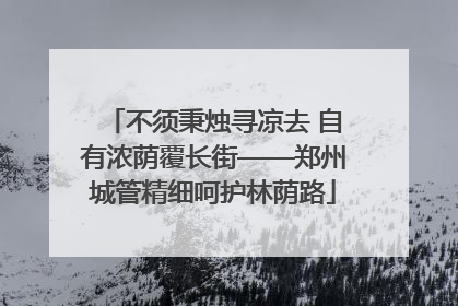 不须秉烛寻凉去 自有浓荫覆长街——郑州城管精细呵护林荫路
