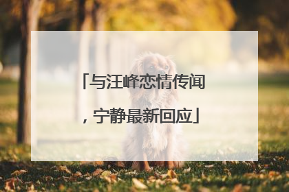 与汪峰恋情传闻，宁静最新回应