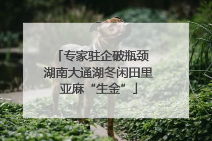 专家驻企破瓶颈 湖南大通湖冬闲田里亚麻“生金”