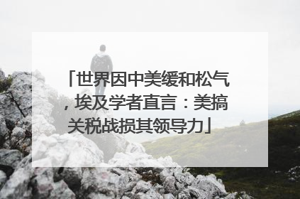 世界因中美缓和松气，埃及学者直言：美搞关税战损其领导力