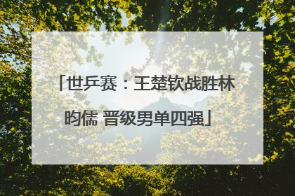 世乒赛：王楚钦战胜林昀儒 晋级男单四强