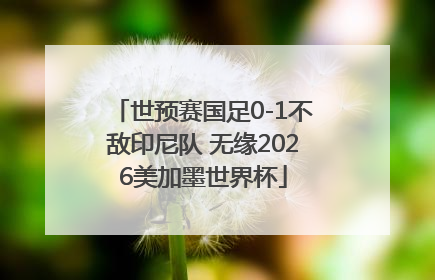 世预赛国足0-1不敌印尼队 无缘2026美加墨世界杯