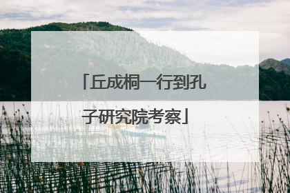 丘成桐一行到孔子研究院考察