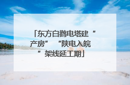 东方白鹳电塔建“产房” “陕电入皖”架线延工期