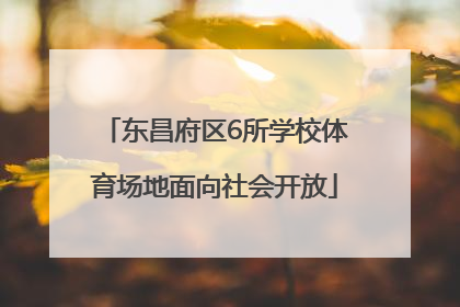 东昌府区6所学校体育场地面向社会开放