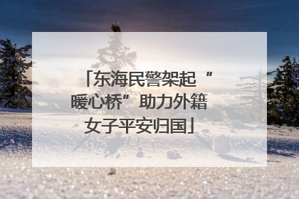 东海民警架起“暖心桥”助力外籍女子平安归国