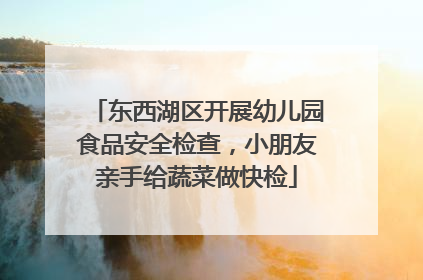 东西湖区开展幼儿园食品安全检查，小朋友亲手给蔬菜做快检