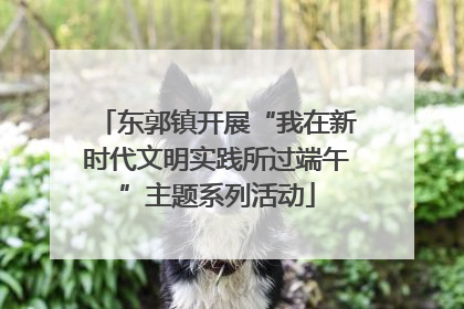 东郭镇开展“我在新时代文明实践所过端午”主题系列活动