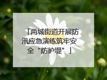 两城街道开展防汛应急演练筑牢安全“防护堤”